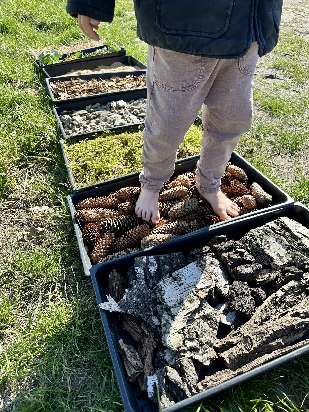 Zdjęcie z warsztatów Ziołowej Akademii